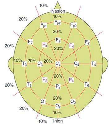 Trends in EEG signal feature extraction applications